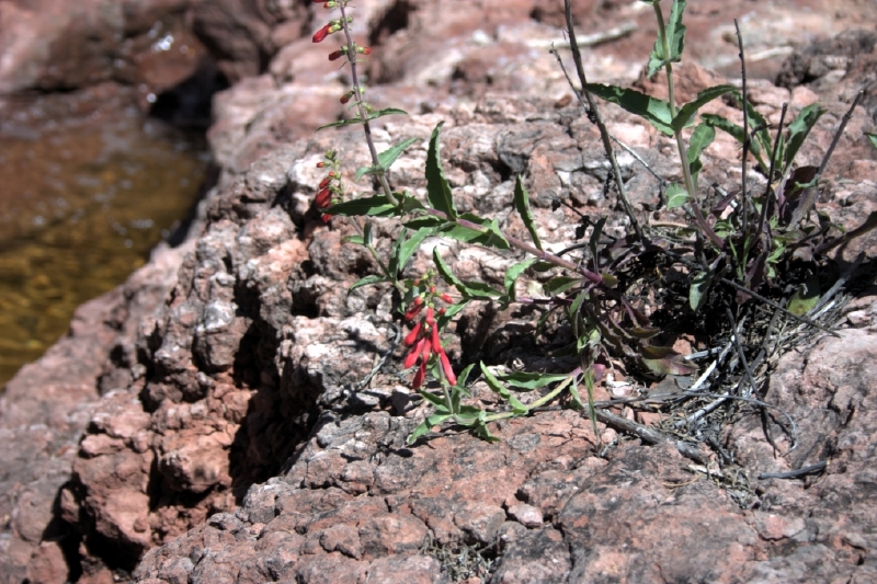 crw_2833.jpg