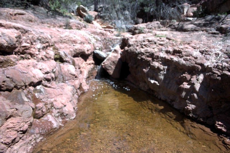 crw_2842.jpg