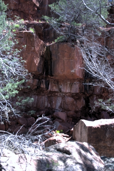 crw_2843.jpg