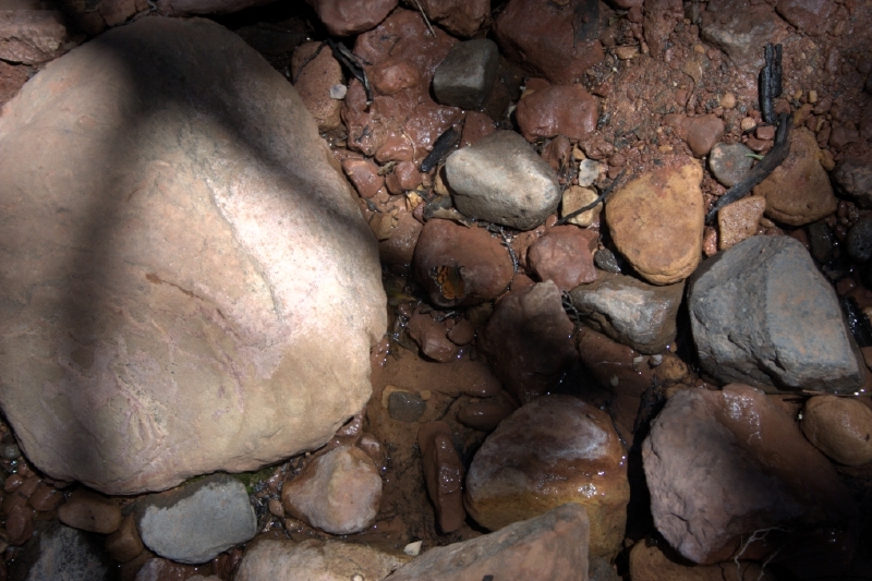 crw_2844.jpg