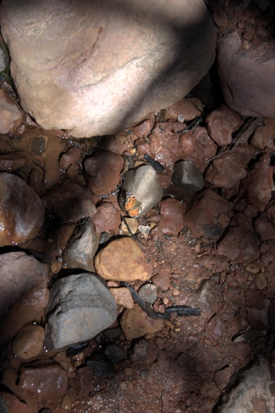 crw_2847.jpg