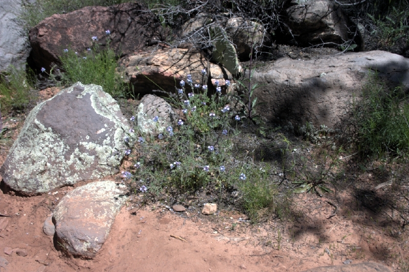crw_2852.jpg