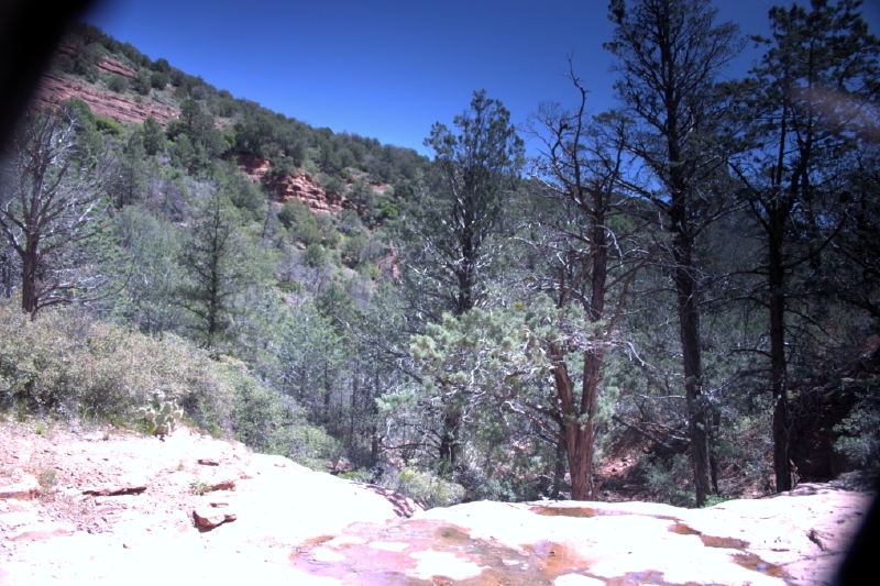 crw_2861.jpg