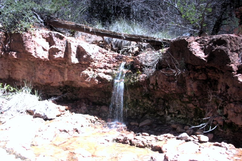 crw_2864.jpg