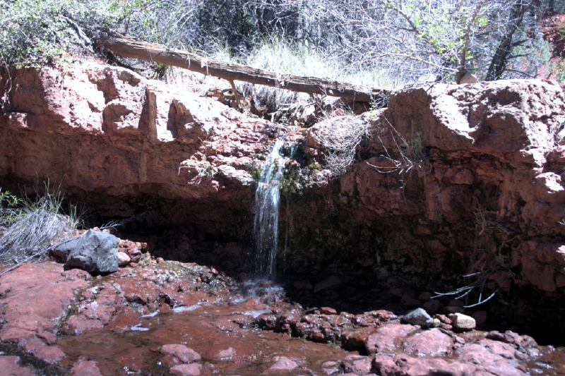 crw_2865.jpg
