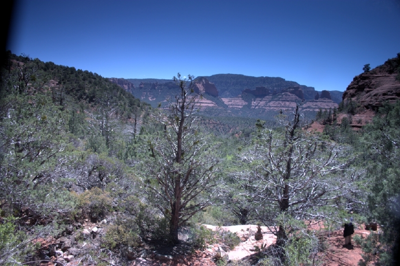 crw_2876.jpg