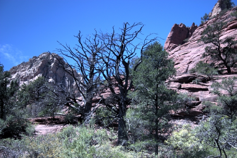 crw_2886.jpg