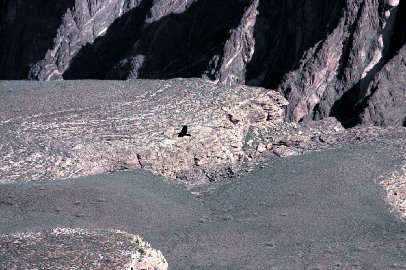 crw_3034.jpg