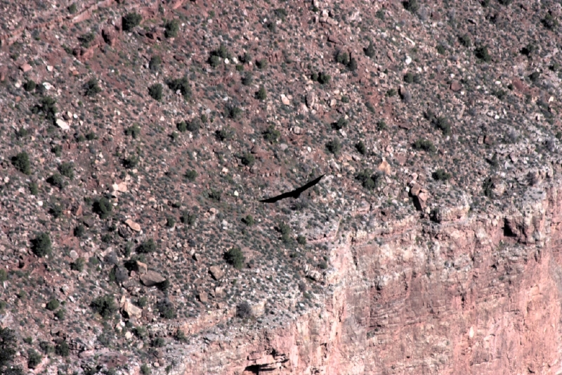 crw_3035.jpg