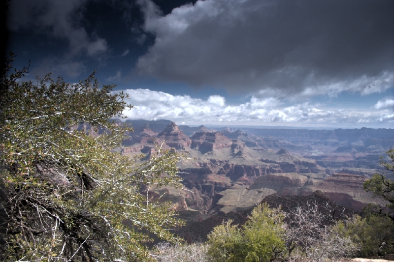 crw_3063.jpg
