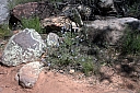 crw_2852.jpg