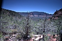 crw_2876.jpg