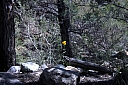 crw_2884.jpg