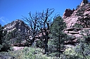 crw_2886.jpg