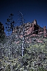crw_2889.jpg