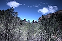 crw_2891.jpg