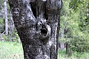crw_2922.jpg