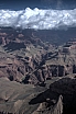 crw_3050.jpg