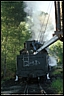 roll5_008001.jpg