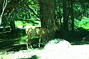 crw_3180.jpg