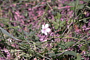 crw_3188.jpg