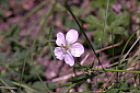 crw_3189.jpg