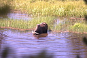 crw_3266.jpg