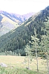 img_7929.jpg