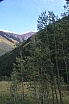 img_7939.jpg