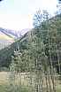 img_7941.jpg
