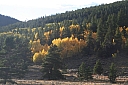 img_8065.jpg