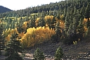 img_8069.jpg