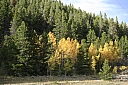 img_8070.jpg