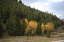 img_8071.jpg
