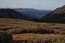 img_8108.jpg