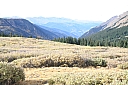 img_8109.jpg