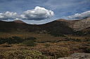 img_8111.jpg