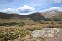 img_8113.jpg