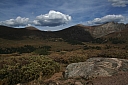 img_8114.jpg