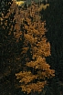 img_8150.jpg