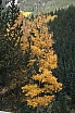 img_8152.jpg