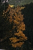 img_8153.jpg
