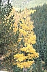 img_8154.jpg
