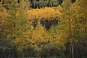img_8155.jpg
