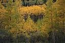 img_8156.jpg