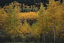 img_8159.jpg