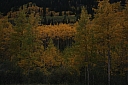 img_8160.jpg