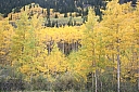 img_8161.jpg