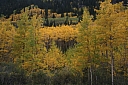 img_8162.jpg
