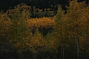 img_8163.jpg